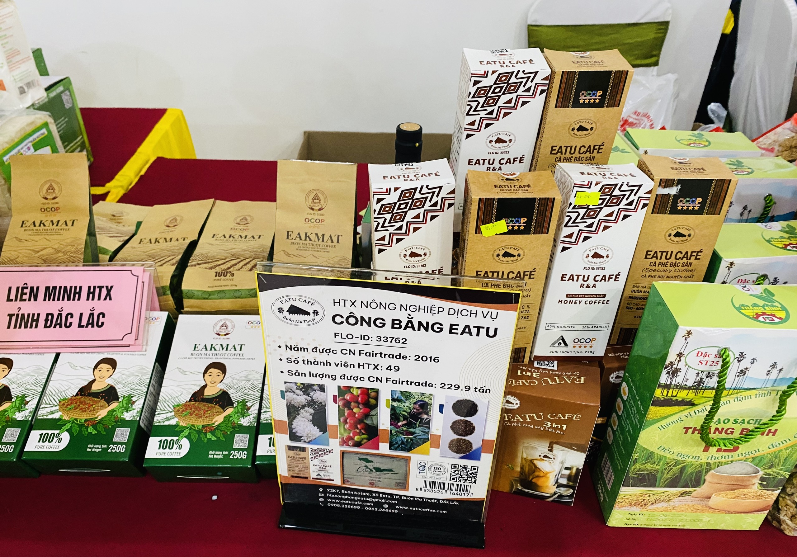 ANh Trưng bày Hà Tĩnh